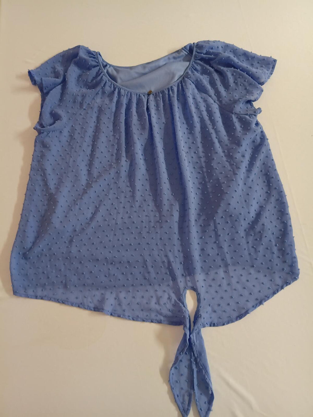 Blue Swiss Dot Sheer Blouse with Tie Detail