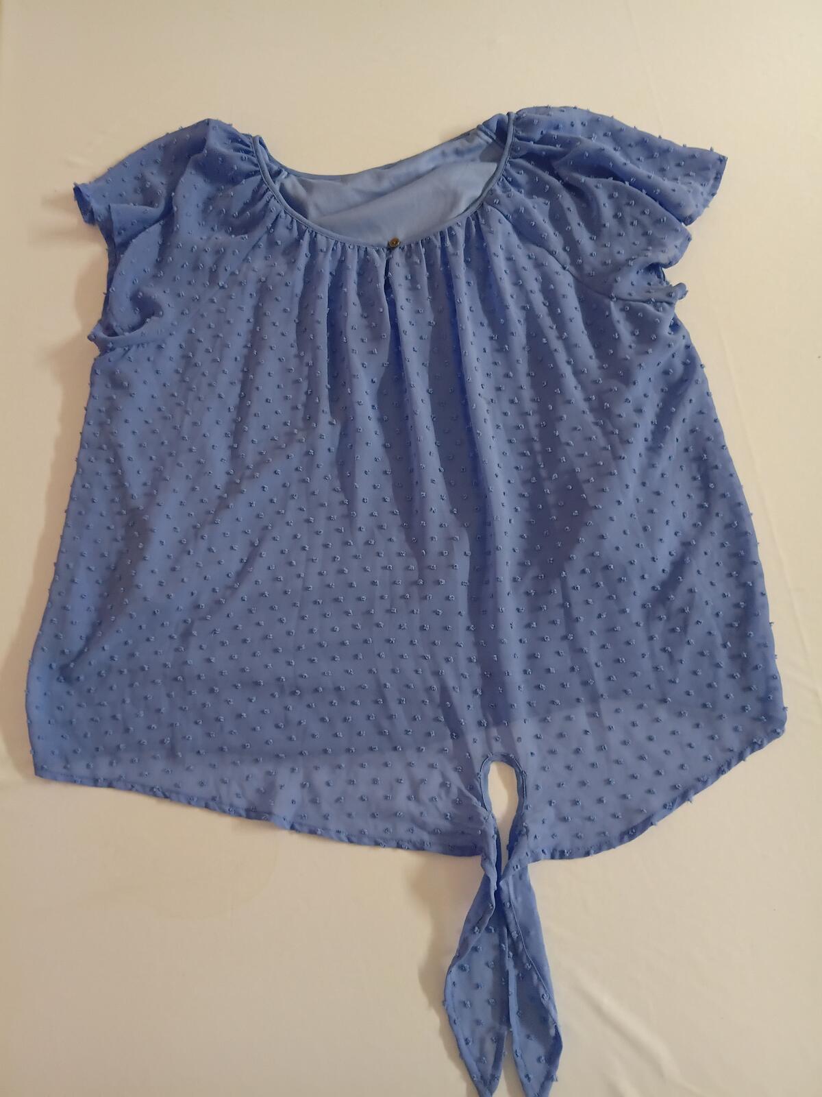 Blue Swiss Dot Sheer Blouse with Tie Detail