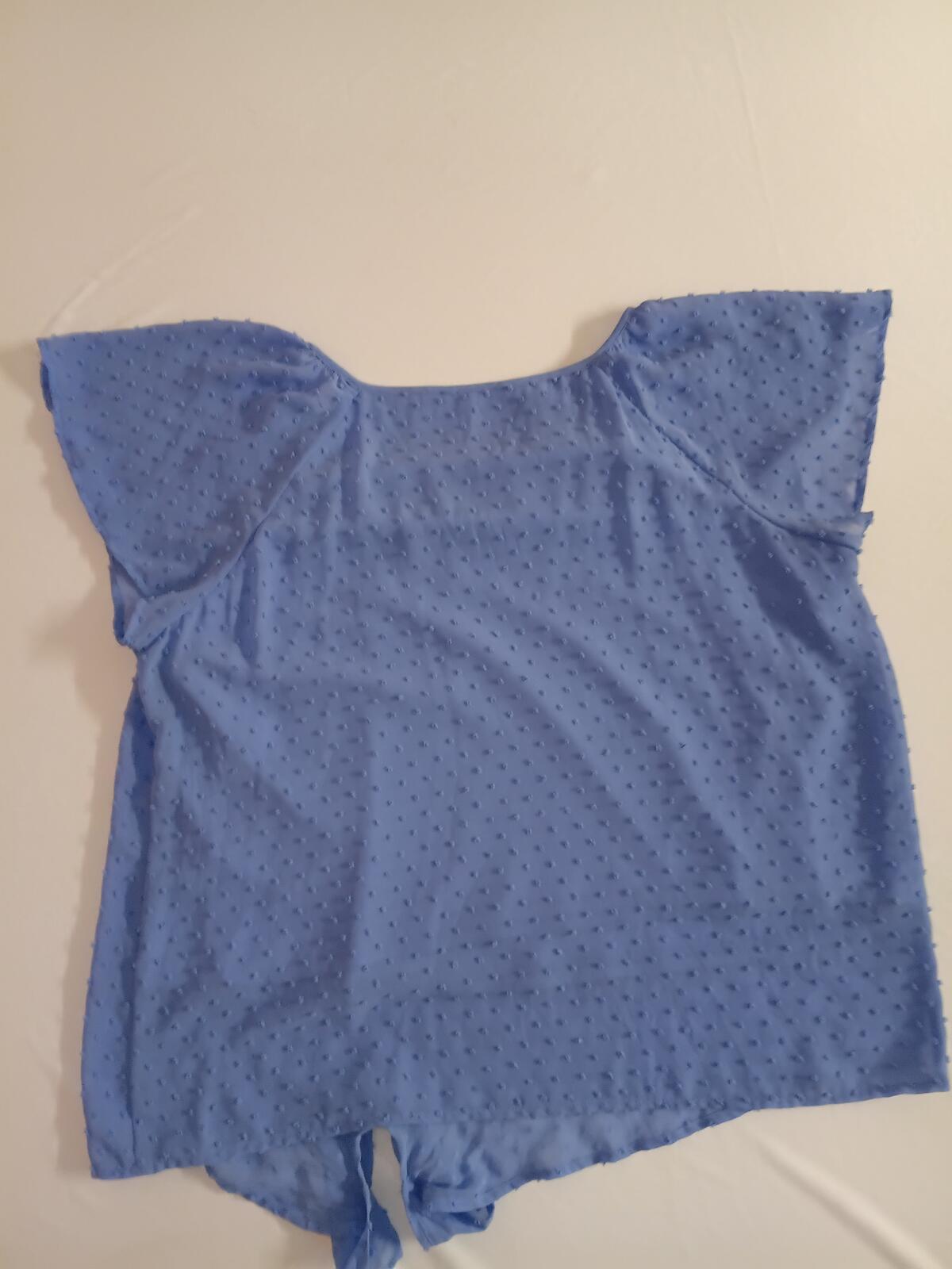 Blue Swiss Dot Sheer Blouse with Tie Detail