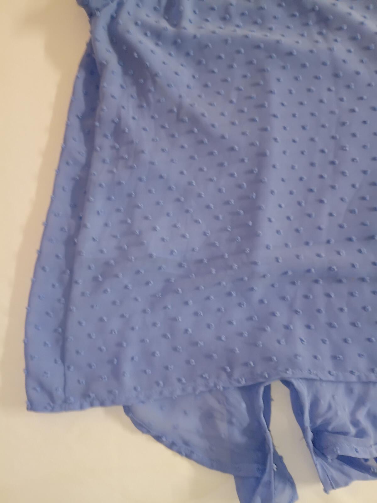 Blue Swiss Dot Sheer Blouse with Tie Detail
