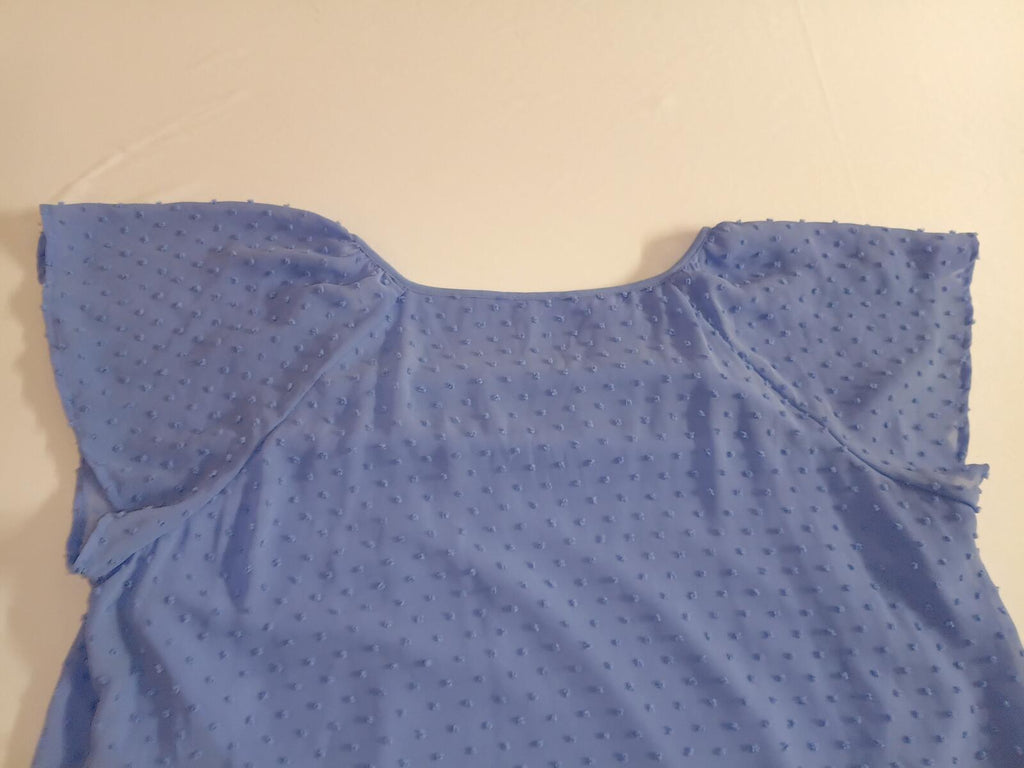 Blue Swiss Dot Sheer Blouse with Tie Detail